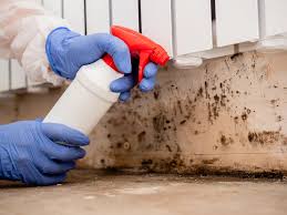 Best Mold Prevention Services  in Nazareth College, NY